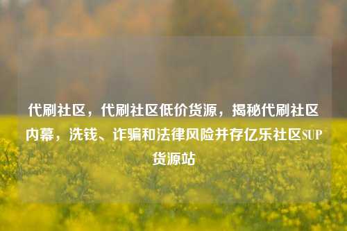 代刷社区，代刷社区低价货源，揭秘代刷社区内幕	，洗钱、诈骗和法律风险并存亿乐社区SUP货源站  第1张