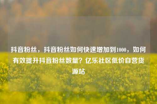 抖音粉丝，抖音粉丝如何快速增加到1000，如何有效提升抖音粉丝数量？亿乐社区低价自营货源站  第1张