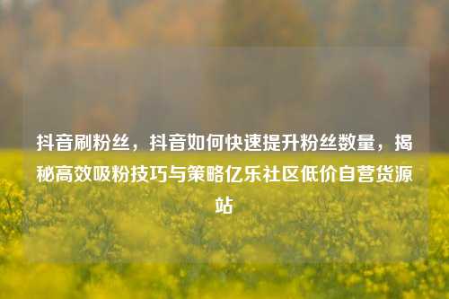 抖音刷粉丝	，抖音如何快速提升粉丝数量，揭秘高效吸粉技巧与策略亿乐社区低价自营货源站  第1张