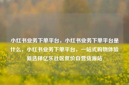 小红书业务下单平台	，小红书业务下单平台是什么，小红书业务下单平台，一站式购物体验新选择亿乐社区低价自营货源站  第1张