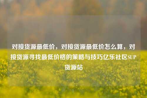 对接货源最低价，对接货源最低价怎么算，对接货源寻找最低价格的策略与技巧亿乐社区SUP货源站  第1张