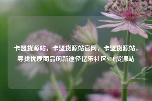 卡盟货源站	，卡盟货源站官网，卡盟货源站，寻找优质商品的新途径亿乐社区SUP货源站  第1张