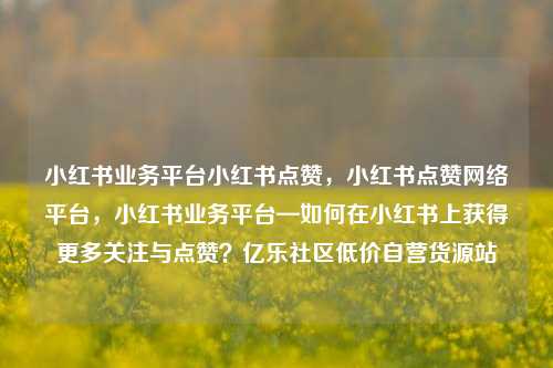 小红书业务平台小红书点赞，小红书点赞网络平台	，小红书业务平台—如何在小红书上获得更多关注与点赞？亿乐社区低价自营货源站  第1张