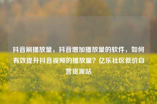 抖音刷播放量，抖音增加播放量的软件	，如何有效提升抖音视频的播放量？亿乐社区低价自营货源站  第1张
