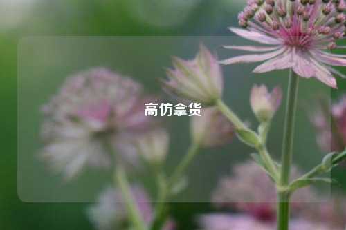 高仿拿货  第1张