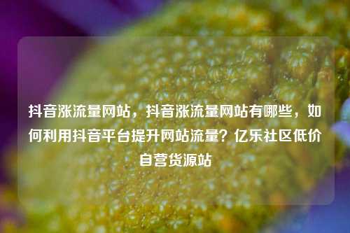 抖音涨流量网站，抖音涨流量网站有哪些	，如何利用抖音平台提升网站流量？亿乐社区低价自营货源站  第1张
