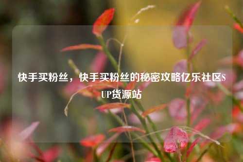 快手买粉丝，快手买粉丝的秘密攻略亿乐社区SUP货源站  第1张