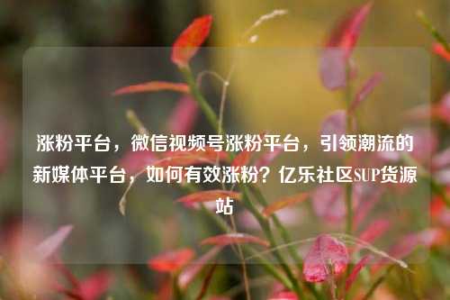 涨粉平台，微信视频号涨粉平台	，引领潮流的新媒体平台，如何有效涨粉？亿乐社区SUP货源站  第1张