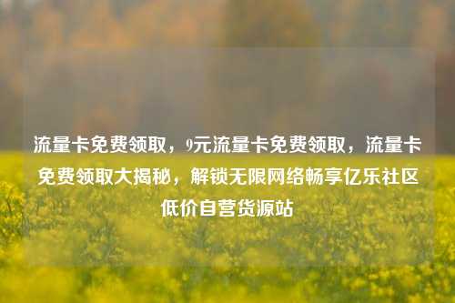 流量卡免费领取，9元流量卡免费领取	，流量卡免费领取大揭秘，解锁无限网络畅享亿乐社区低价自营货源站  第1张