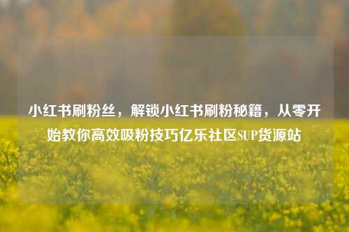 小红书刷粉丝	，解锁小红书刷粉秘籍，从零开始教你高效吸粉技巧亿乐社区SUP货源站  第1张