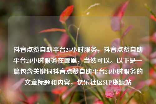 抖音点赞自助平台24小时服务，抖音点赞自助平台24小时服务在哪里	，当然可以。以下是一篇包含关键词抖音点赞自助平台24小时服务的文章标题和内容，亿乐社区SUP货源站  第1张