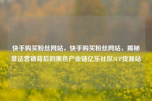 快手购买粉丝网站，快手购买粉丝网站	，揭秘非法营销背后的黑色产业链亿乐社区SUP货源站  第1张