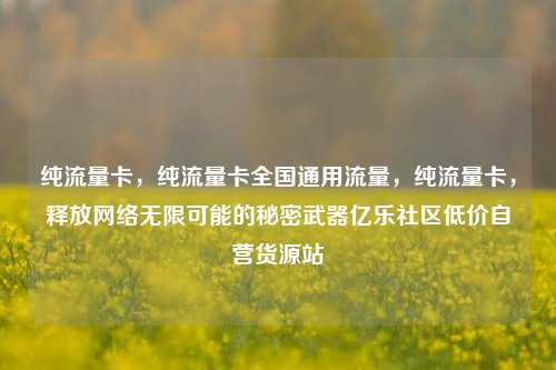 纯流量卡，纯流量卡全国通用流量，纯流量卡	，释放网络无限可能的秘密武器亿乐社区低价自营货源站  第1张