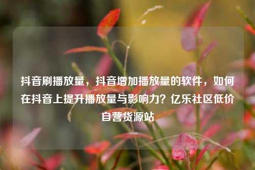 抖音刷播放量，抖音增加播放量的软件，如何在抖音上提升播放量与影响力？亿乐社区低价自营货源站  第1张