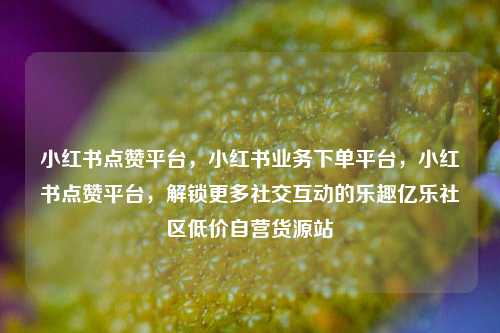 小红书点赞平台，小红书业务下单平台	，小红书点赞平台，解锁更多社交互动的乐趣亿乐社区低价自营货源站  第1张