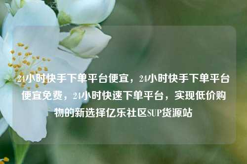 24小时快手下单平台便宜	，24小时快手下单平台便宜免费，24小时快速下单平台，实现低价购物的新选择亿乐社区SUP货源站  第1张