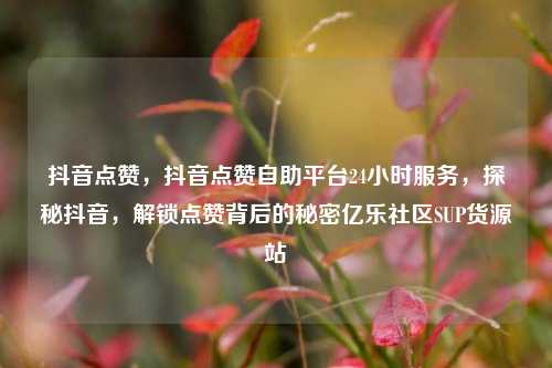 抖音点赞，抖音点赞自助平台24小时服务，探秘抖音	，解锁点赞背后的秘密亿乐社区SUP货源站  第1张