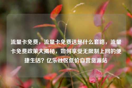 流量卡免费，流量卡免费送是什么套路，流量卡免费政策大揭秘	，如何享受无限制上网的便捷生活？亿乐社区低价自营货源站  第1张