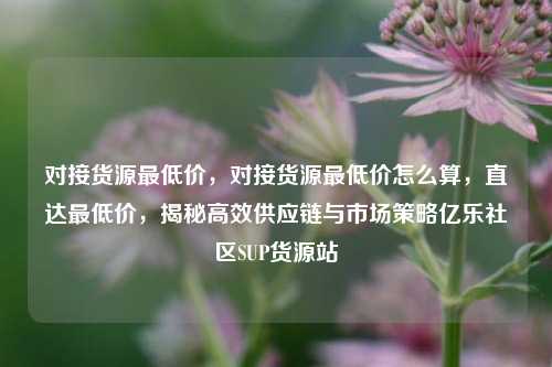 对接货源最低价，对接货源最低价怎么算，直达最低价	，揭秘高效供应链与市场策略亿乐社区SUP货源站  第1张