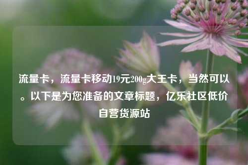 流量卡，流量卡移动19元200g大王卡，当然可以。以下是为您准备的文章标题	，亿乐社区低价自营货源站  第1张