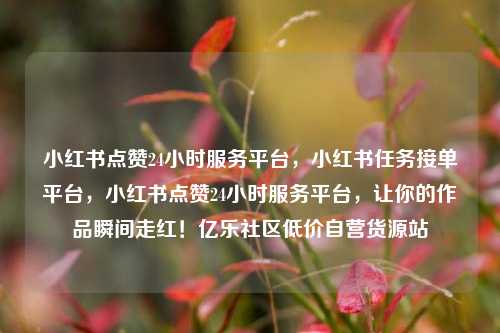 小红书点赞24小时服务平台，小红书任务接单平台，小红书点赞24小时服务平台	，让你的作品瞬间走红！亿乐社区低价自营货源站  第1张