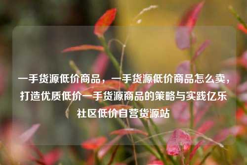 一手货源低价商品	，一手货源低价商品怎么卖，打造优质低价一手货源商品的策略与实践亿乐社区低价自营货源站  第1张