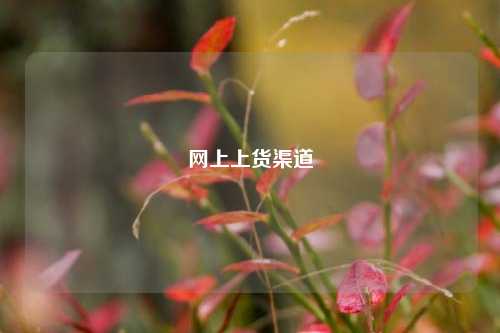 网上上货渠道  第1张
