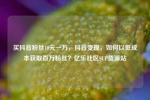 买抖音粉丝10元一万，抖音变现，如何以低成本获取百万粉丝？亿乐社区SUP货源站  第1张