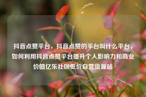 抖音点赞平台	，抖音点赞的平台叫什么平台，如何利用抖音点赞平台提升个人影响力和商业价值亿乐社区低价自营货源站  第1张