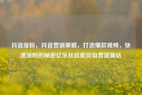 抖音涨粉，抖音营销策略，打造爆款视频，快速涨粉的秘密亿乐社区低价自营货源站  第1张