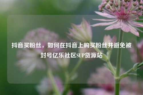 抖音买粉丝，如何在抖音上购买粉丝并避免被封号亿乐社区SUP货源站  第1张