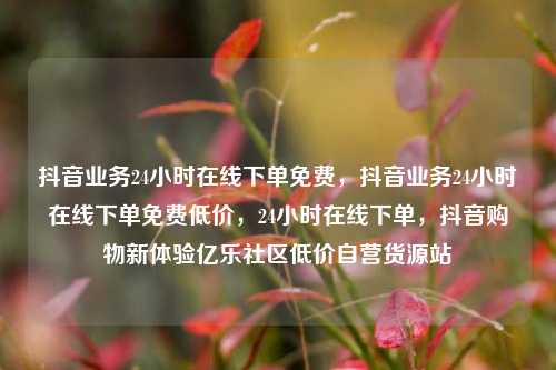 抖音业务24小时在线下单免费，抖音业务24小时在线下单免费低价	，24小时在线下单，抖音购物新体验亿乐社区低价自营货源站  第1张