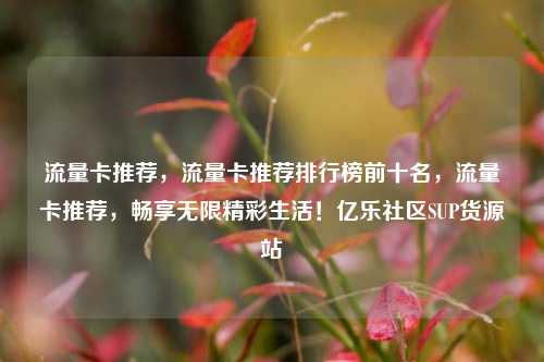 流量卡推荐，流量卡推荐排行榜前十名	，流量卡推荐，畅享无限精彩生活！亿乐社区SUP货源站  第1张