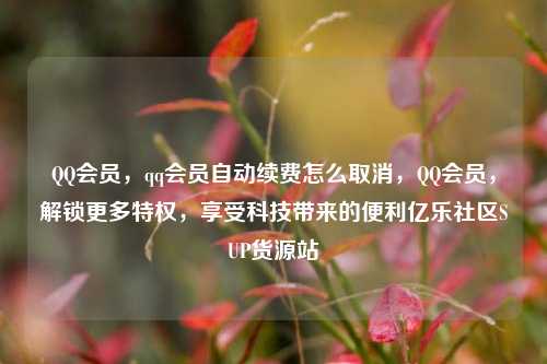 QQ会员	，qq会员自动续费怎么取消，QQ会员，解锁更多特权	，享受科技带来的便利亿乐社区SUP货源站  第1张