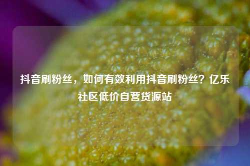 抖音刷粉丝，如何有效利用抖音刷粉丝？亿乐社区低价自营货源站  第1张