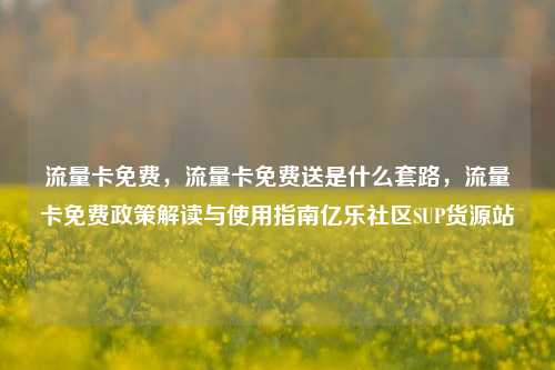 流量卡免费	，流量卡免费送是什么套路，流量卡免费政策解读与使用指南亿乐社区SUP货源站  第1张