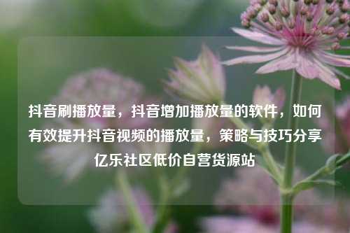 抖音刷播放量，抖音增加播放量的软件，如何有效提升抖音视频的播放量	，策略与技巧分享亿乐社区低价自营货源站  第1张