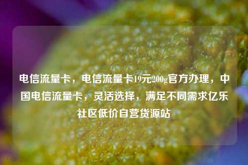 电信流量卡，电信流量卡19元200g官方办理	，中国电信流量卡，灵活选择，满足不同需求亿乐社区低价自营货源站  第1张
