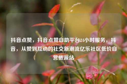 抖音点赞	，抖音点赞自助平台24小时服务，抖音，从赞到互动的社交新潮流亿乐社区低价自营货源站  第1张