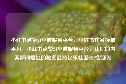 小红书点赞24小时服务平台	，小红书任务接单平台，小红书点赞24小时服务平台，让你的内容瞬间爆红的秘密武器亿乐社区SUP货源站  第1张