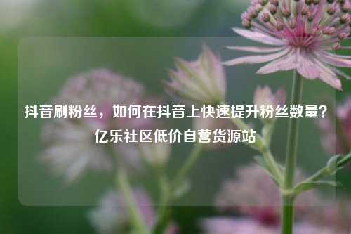 抖音刷粉丝	，如何在抖音上快速提升粉丝数量？亿乐社区低价自营货源站  第1张