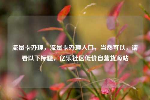 流量卡办理	，流量卡办理入口，当然可以，请看以下标题，亿乐社区低价自营货源站  第1张