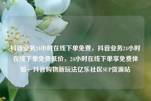 抖音业务24小时在线下单免费，抖音业务24小时在线下单免费低价，24小时在线下单享免费体验—抖音购物新玩法亿乐社区SUP货源站  第1张