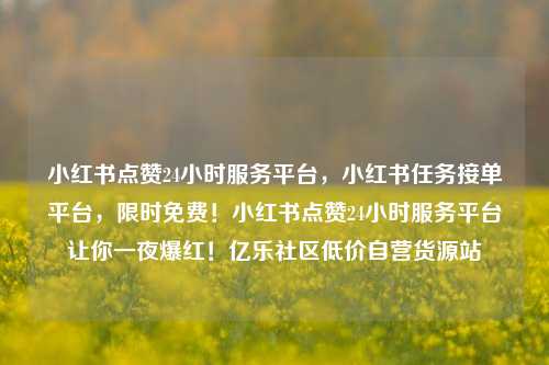 小红书点赞24小时服务平台，小红书任务接单平台，限时免费！小红书点赞24小时服务平台让你一夜爆红！亿乐社区低价自营货源站  第1张