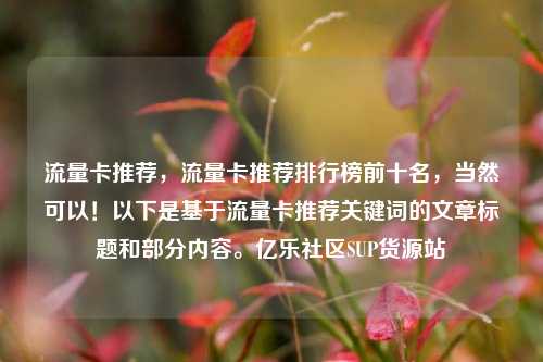 流量卡推荐	，流量卡推荐排行榜前十名，当然可以！以下是基于流量卡推荐关键词的文章标题和部分内容	。亿乐社区SUP货源站  第1张