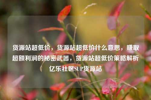 货源站超低价	，货源站超低价什么意思，赚取超额利润的秘密武器，货源站超低价策略解析亿乐社区SUP货源站  第1张
