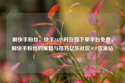 刷快手粉丝，快手24小时在线下单平台免费，刷快手粉丝的策略与技巧亿乐社区SUP货源站  第1张