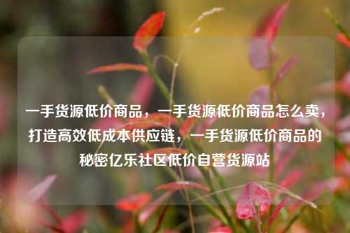 一手货源低价商品	，一手货源低价商品怎么卖，打造高效低成本供应链，一手货源低价商品的秘密亿乐社区低价自营货源站  第1张