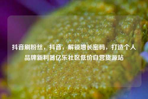 抖音刷粉丝	，抖音，解锁增长密码，打造个人品牌新利器亿乐社区低价自营货源站  第1张