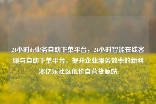 24小时dy业务自助下单平台，24小时智能在线客服与自助下单平台，提升企业服务效率的新利器亿乐社区低价自营货源站  第1张